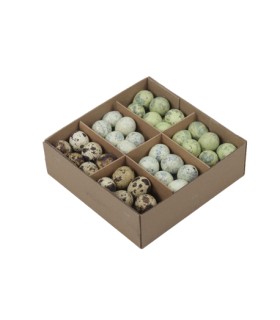 OEUF DE CAILLE COULEUR 3CM les 72P