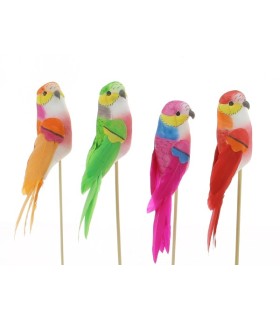 PERRUCHE H15CM la boite de 12P