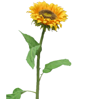 FLEUR SUNFLOWER TUSCANY H77CM piece