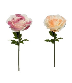 FELUR ROSE à la tige 040 H118CM