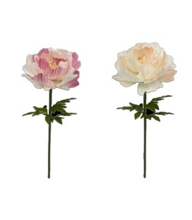 FLEUR PIVOINE à la tige 040 H115CM 