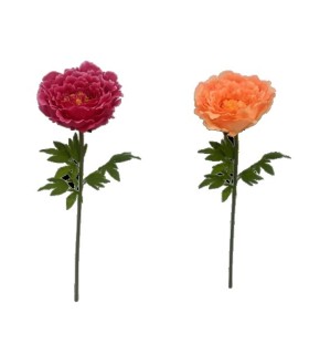 FLEUR PIVOINE à la tige 048 H130CM