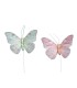 PAPILLON PLUME O8.5CM /12P