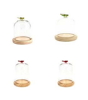 VERRE CLOCHE PAPILLON 010 H12CM les 6P