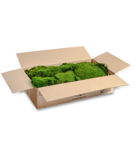 VERDISSIMO-MOUSSE PLATE IGNIFUGE 1.60M2