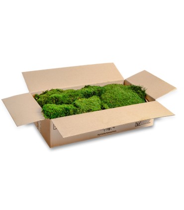 VERDISSIMO-MOUSSE PLATE IGNIFUGE 1.60M2