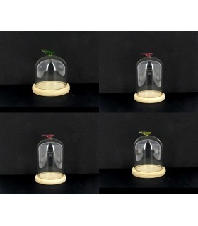 VERRE CLOCHE PAPILLON 010 H15CM les 6P