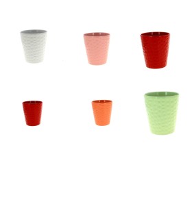 C.POT ORCHIDEE alvéole 013 H14CM les 6P